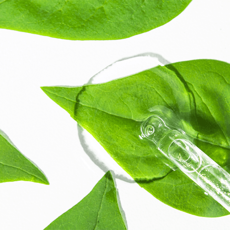 Cosmetici con estratto di tè verde